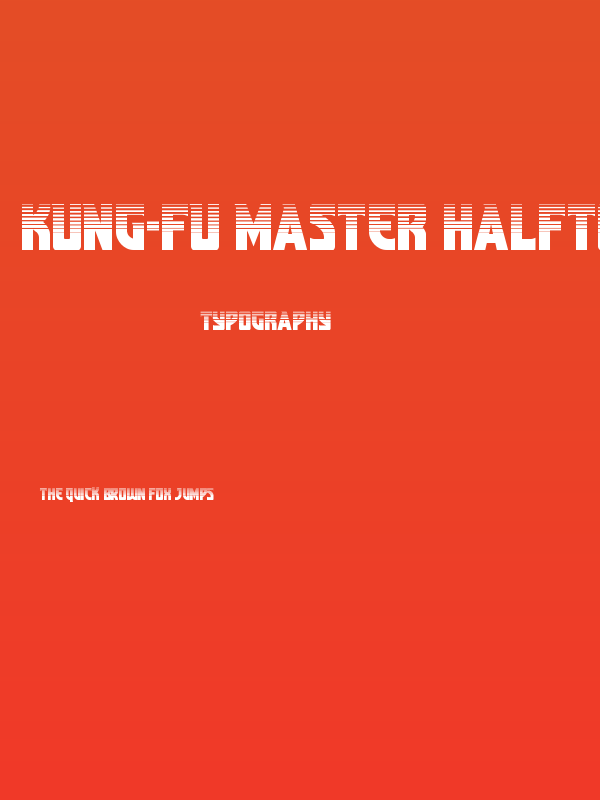 Kung-Fu Master Halftone Poster