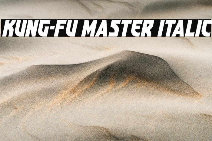 Kung-Fu Master Italic Example 2