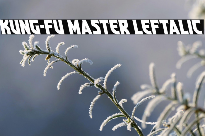 Kung-Fu Master Leftalic Example 1