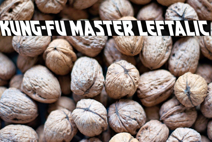 Kung-Fu Master Leftalic Example 2