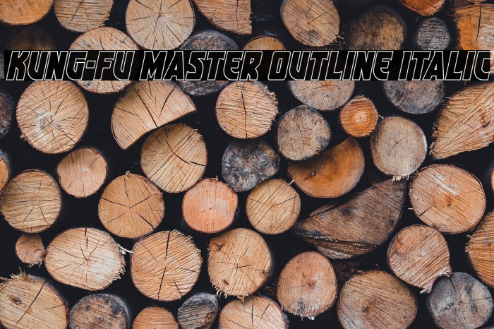 Kung-Fu Master Outline Italic Example 3