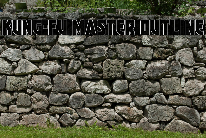 Kung-Fu Master Outline Example 3