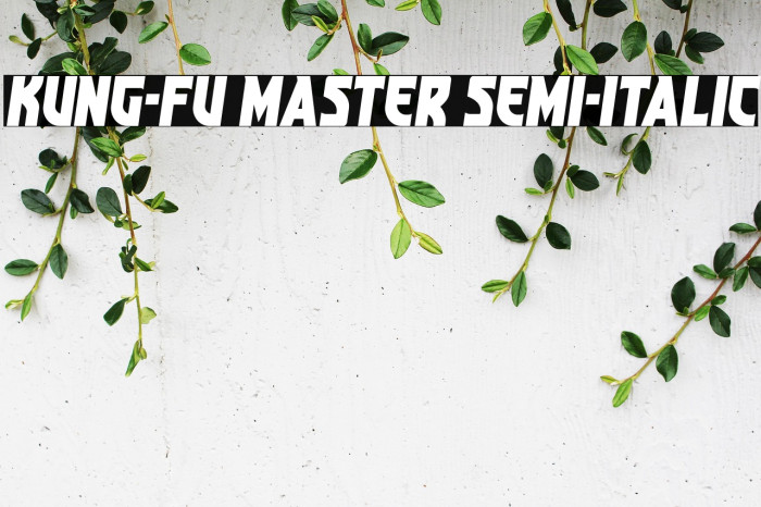 Kung-Fu Master Semi-Italic Example 1
