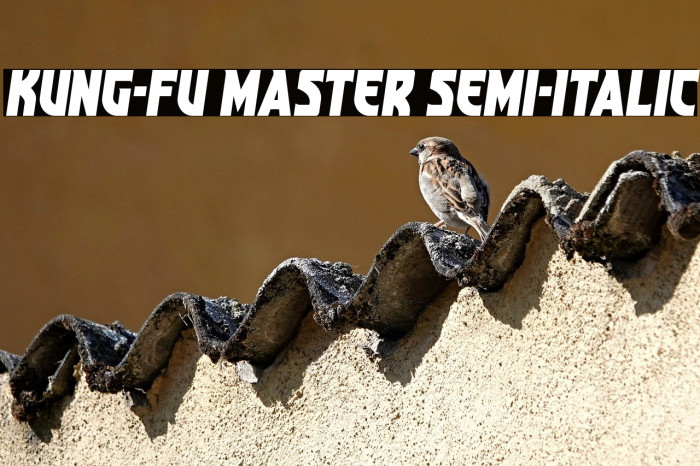 Kung-Fu Master Semi-Italic Example 3
