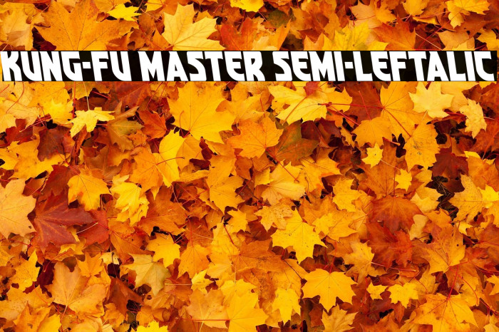 Kung-Fu Master Semi-Leftalic Example 2