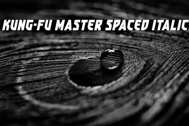 Kung-Fu Master Spaced Italic Font examples