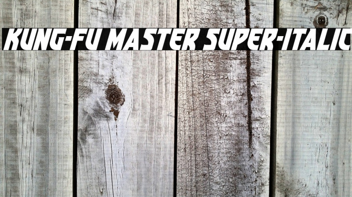 Kung-Fu Master Super-Italic Example 1