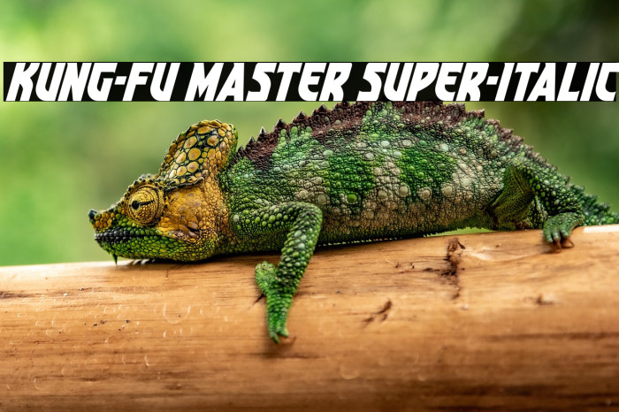 Kung-Fu Master Super-Italic Example 3