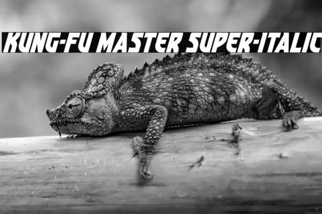 Kung-Fu Master Super-Italic Font examples