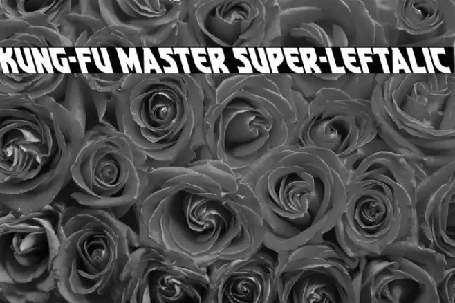 Kung-Fu Master Super-Leftalic Font examples