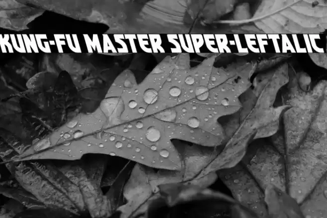 Kung-Fu Master Super-Leftalic Font examples