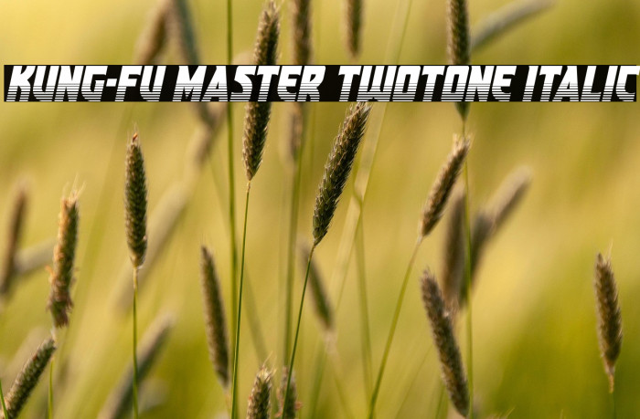 Kung-Fu Master Twotone Italic Example 1