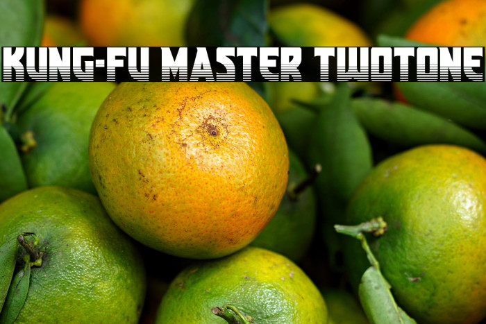 Kung-Fu Master Twotone Example 1