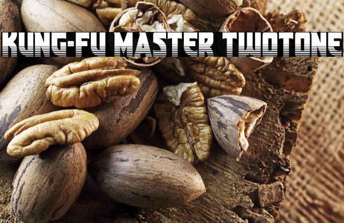 Kung-Fu Master Twotone Example 2