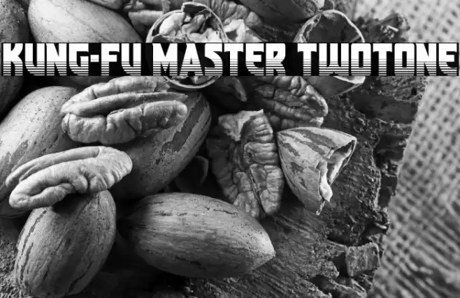 Kung-Fu Master Twotone Font examples