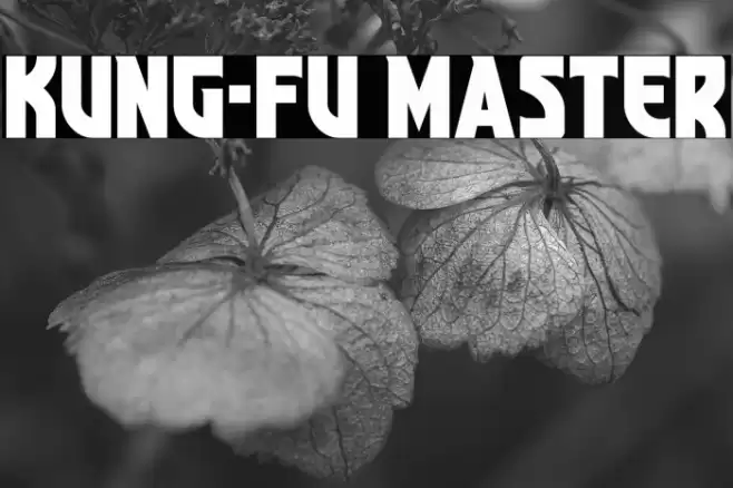 Kung-Fu Master Font examples