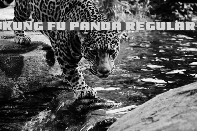 Kung Fu Panda Regular Font examples