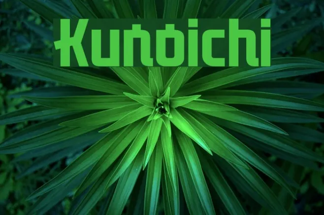 Kunoichi Example 2