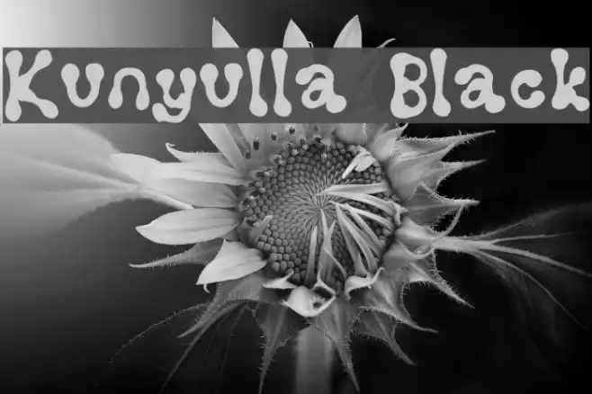 Kunyulla Black Font examples