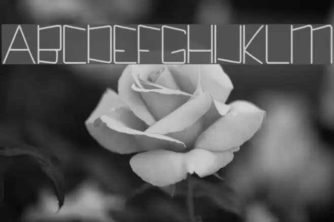 Kuppel Condensed Bold Font examples