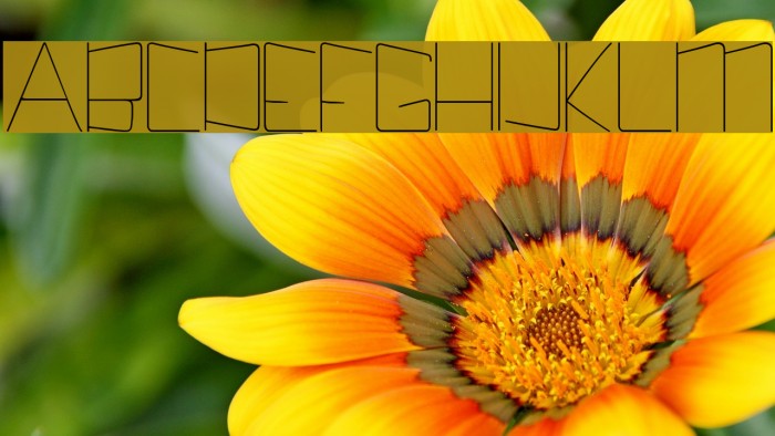 Kuppel Condensed Thin Example 1