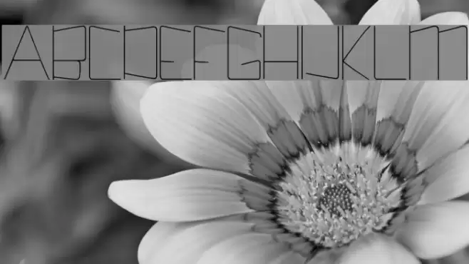 Kuppel Condensed Thin Font examples