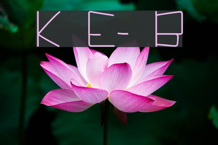 Kuppel Extra-expanded Bold Font examples