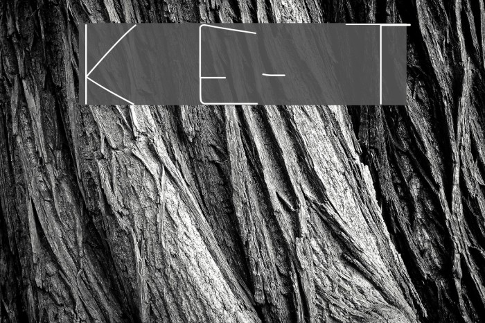 Kuppel Extra-expanded Thin Example 2