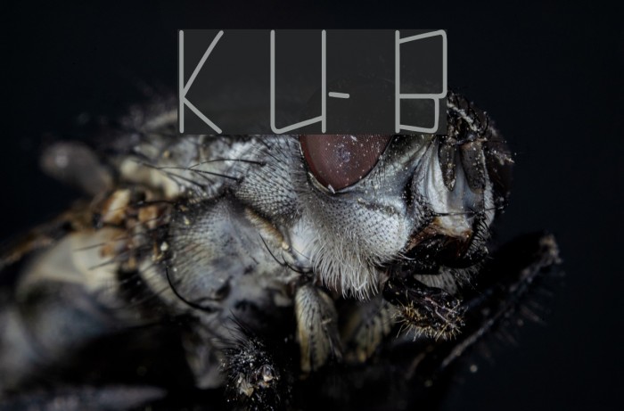 Kuppel Ultra-condensed Bold Example 1