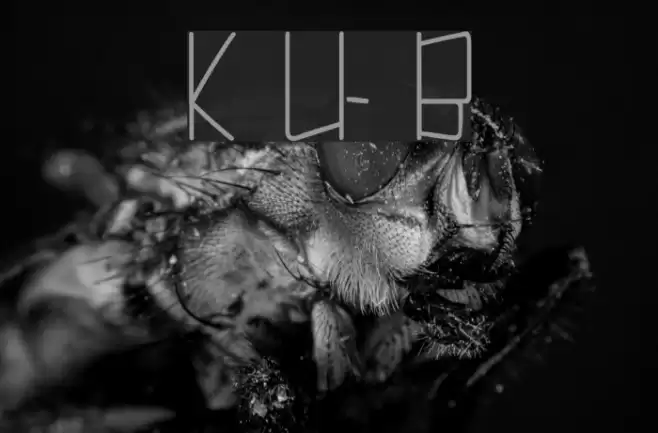 Kuppel Ultra-condensed Bold Font examples