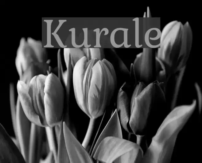 Kurale Font examples