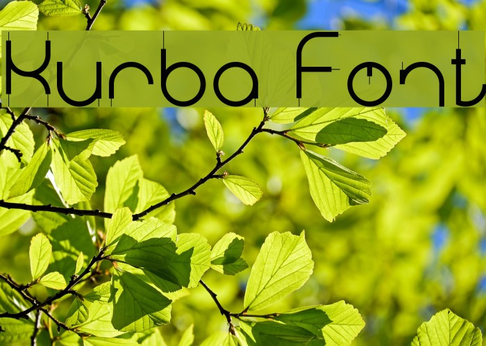 Kurba Font examples