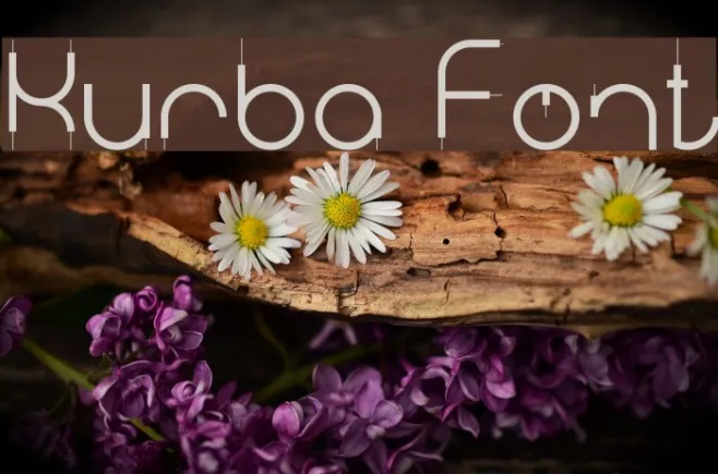 Kurba Example 2