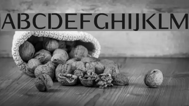 Kurier-Bold Polices examples