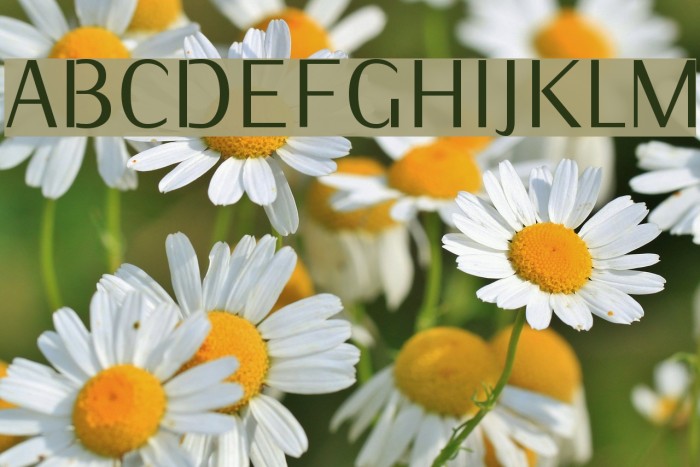 KurierCond-Regular Font examples