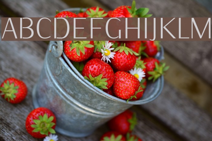 KurierCondLight-Regular Font examples