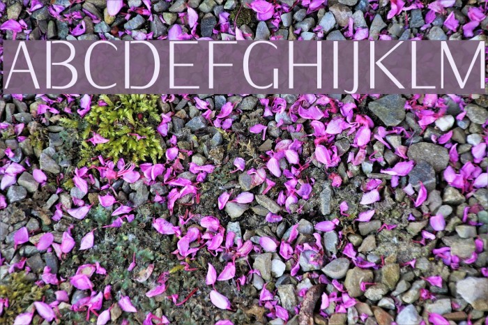 KurierCondLight-Regular Font examples