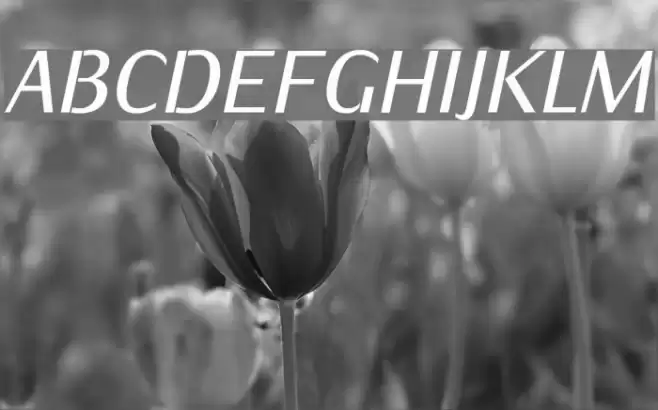 KurierCondMedium-Italic Polices examples