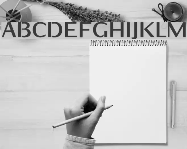 KurierHeavy-Regular Font examples