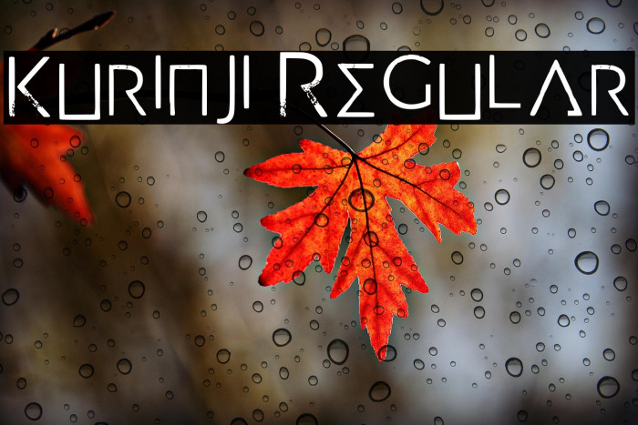 Kurinji Regular Example 2