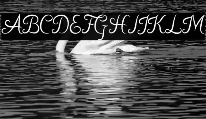 Kurnia Font examples