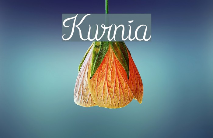 Kurnia Font examples