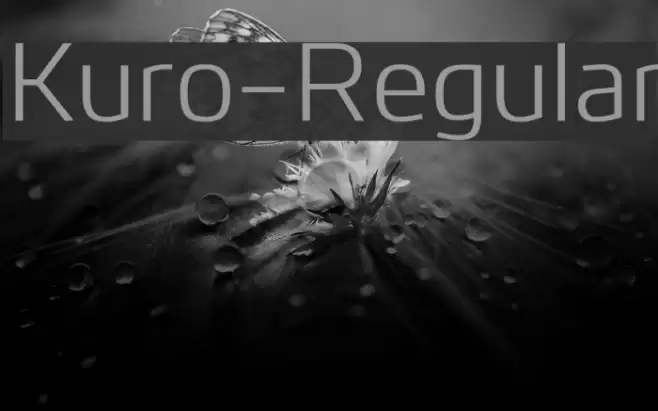 Kuro-Regular Font examples