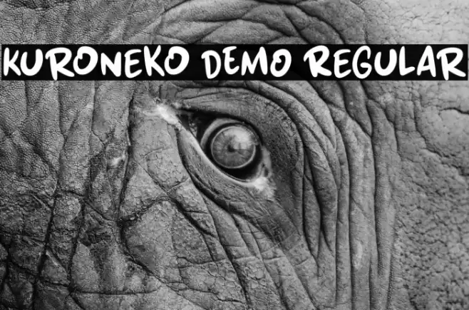 Kuroneko DEMO Regular Caratteri examples