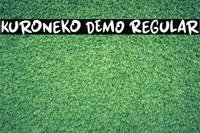 Kuroneko DEMO Regular Fonte examples