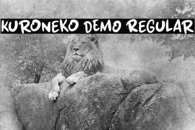 Kuroneko DEMO Regular Fonte examples