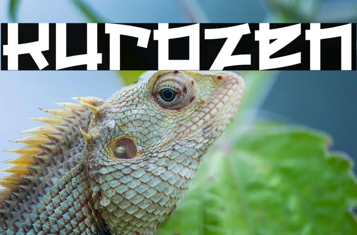 Kurozen Example 2