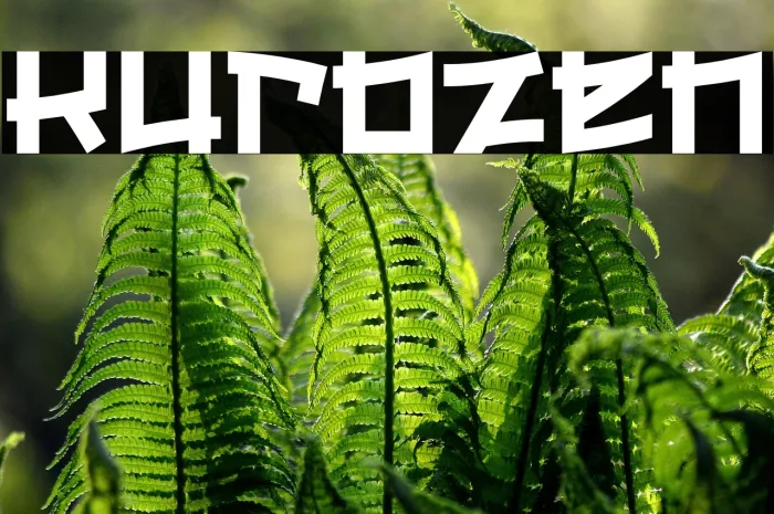 Kurozen Example 3