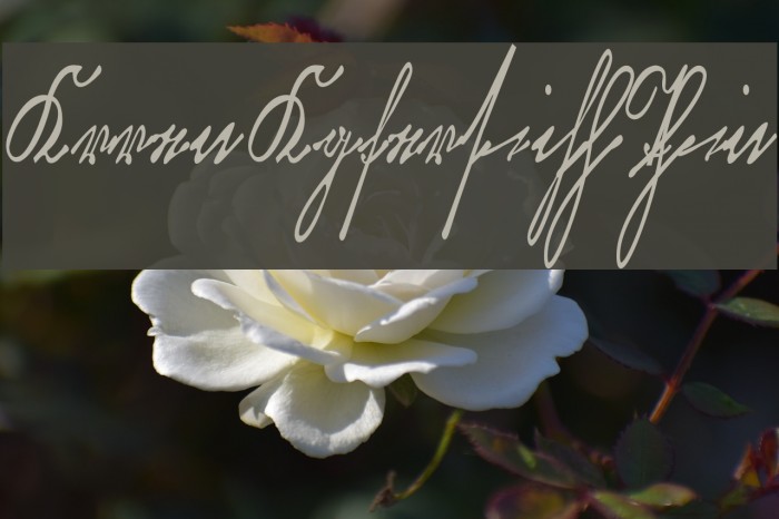 KurrentKupferstichThin Example 3