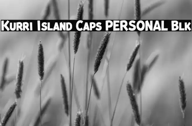 Kurri Island Caps PERSONAL Blk Font examples